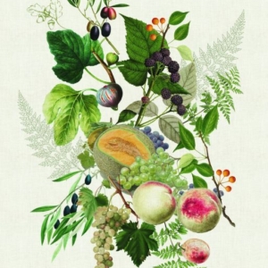 【キッチンタオル】アボンダンス  ドトンヌ  ナチュレル